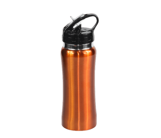 Stainless steel drink bottle with straw 580ml - Orange