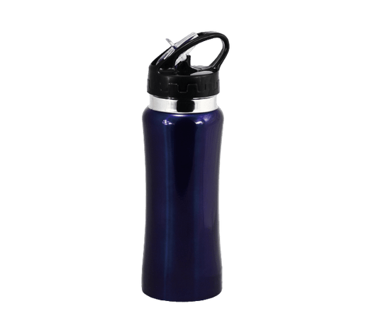 Stainless steel drink bottle with straw 580ml - Blue