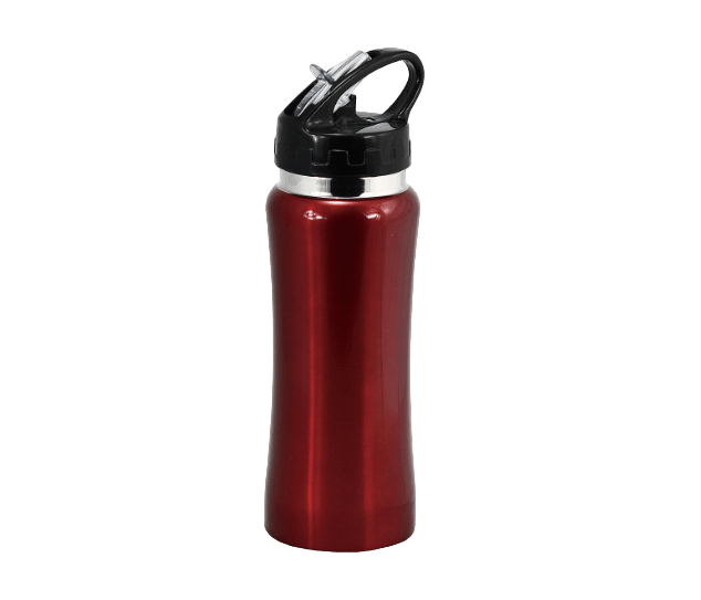 Stainless steel drink bottle with straw 580ml - Red