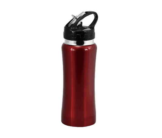 Stainless steel drink bottle with straw 580ml - Red